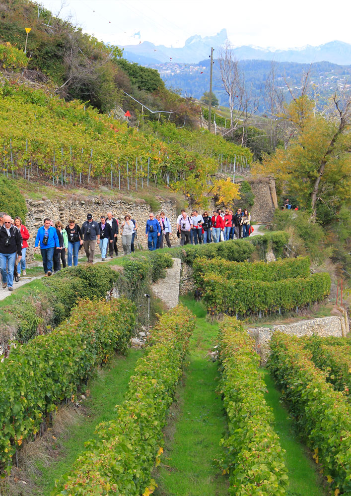 bisse gourmand wallis