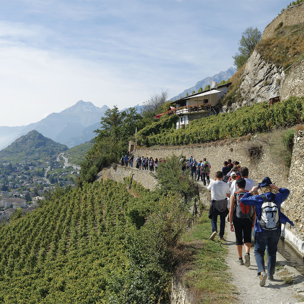 bisse-gourmand-valais bisse-gourmand-valais