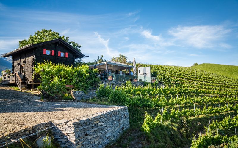 Fendant vineyards in Valais